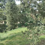 Rosmarino Casale * Città della Pieve