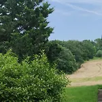 Rosmarino Casale * Città della Pieve