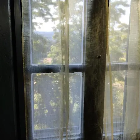 Rosmarino Casale Città della Pieve