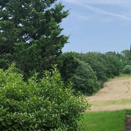 Rosmarino Casale * Città della Pieve