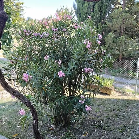 בית נופש Rosmarino Casale Città della Pieve