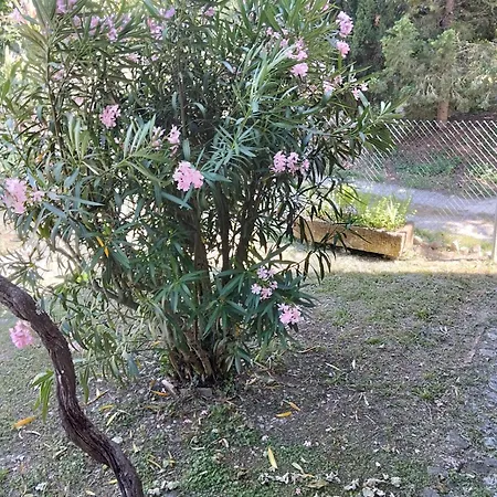 Rosmarino Casale בית נופש