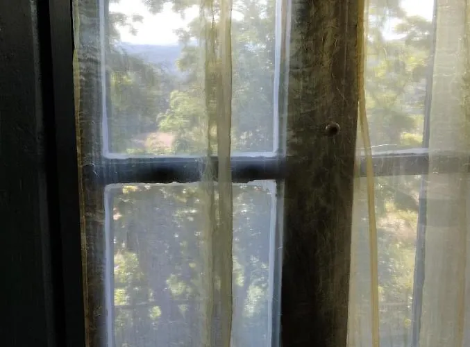 Rosmarino Casale Città della Pieve