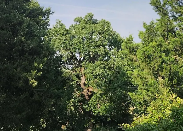 Casa vacanze Rosmarino Casale *